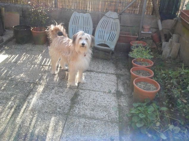 pronti alla partenza