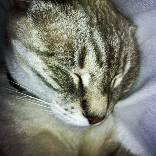 amore mio dorme... =)