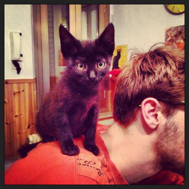 blacky la piccola vedetta friulana