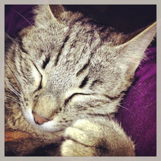 Vieni a farmi coccoline?