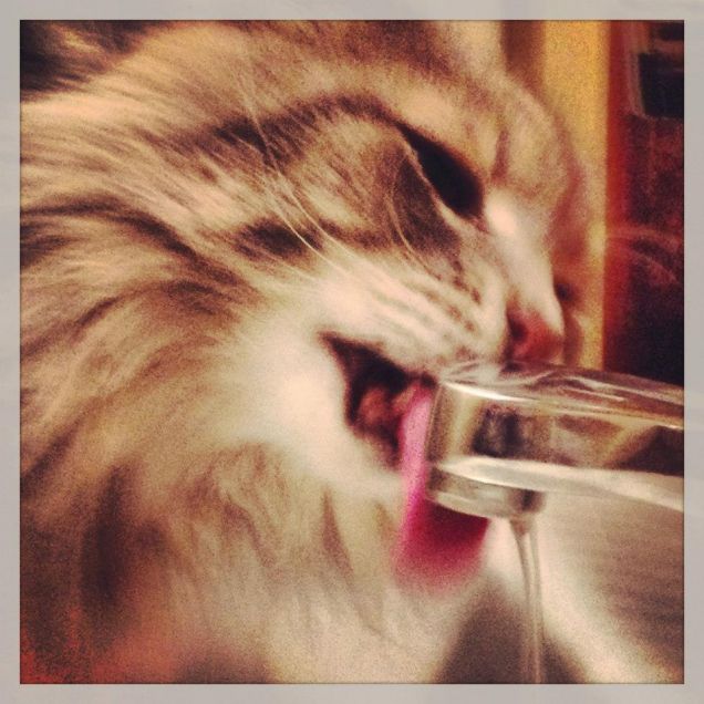 Chiare, fresche, dolci acque...