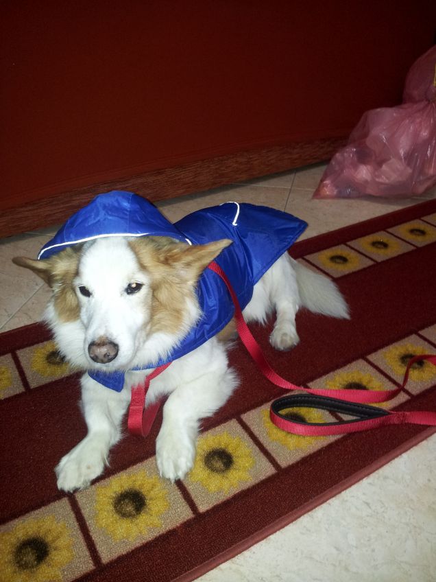 cappottino per la pioggia ! :)