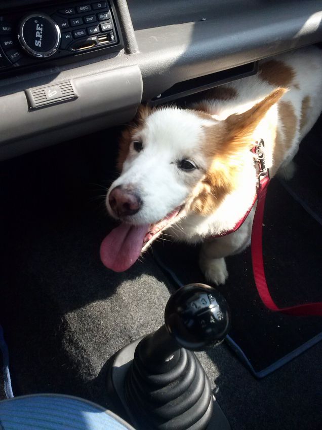 contento di uscire !