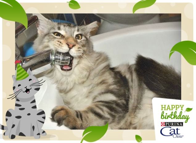 L'igiene prima di tutto!