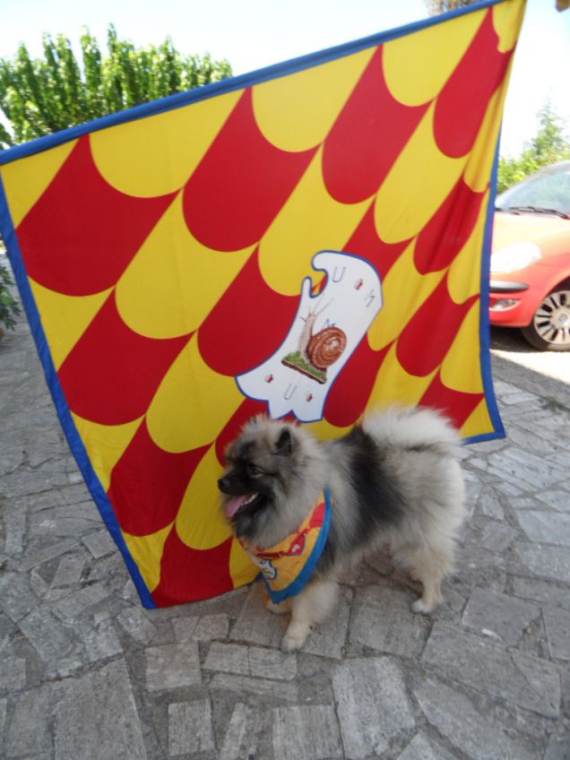 Mirtillo contradaiolo