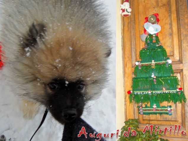 Mirtillo augura a tutti Buone Feste