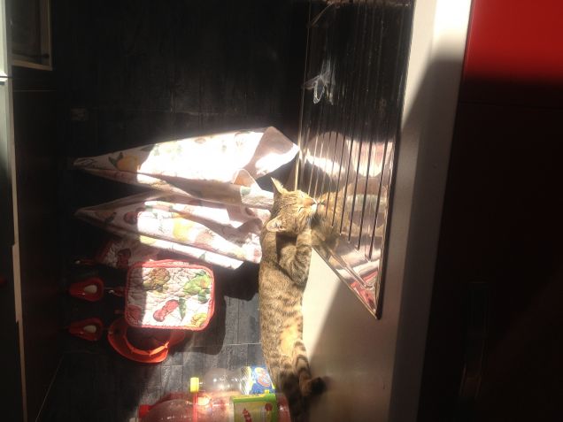 striscia al sole sul lavandino