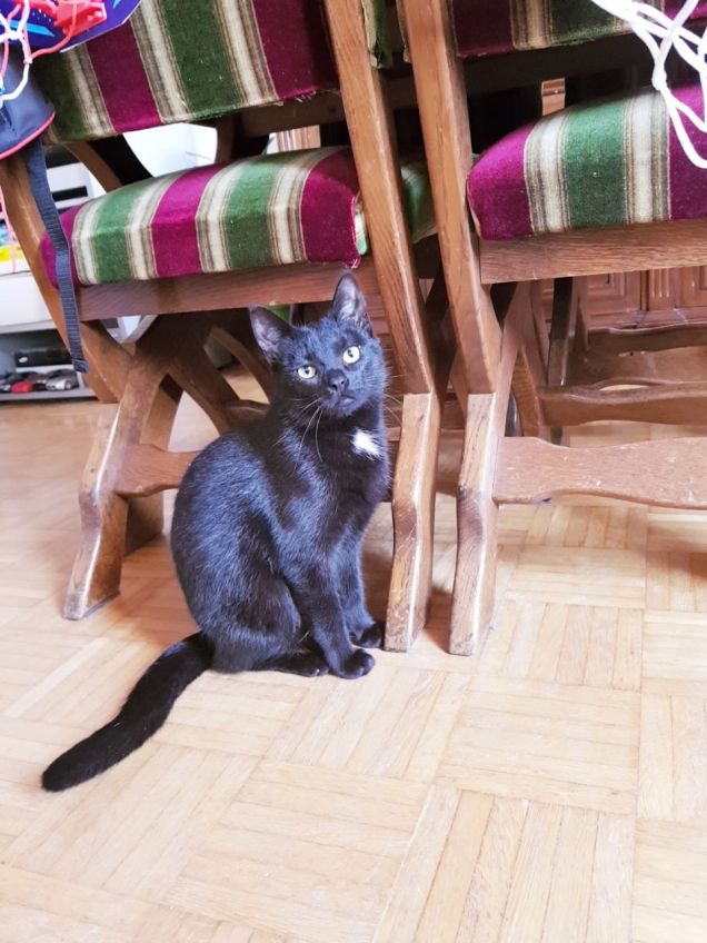 Sempre più dolce la mia Kiki 