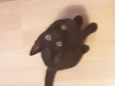 Kiki