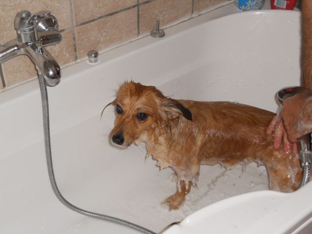 Un terribile momento per Palù =P