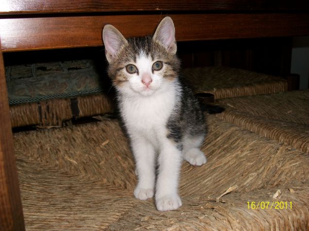 spike da cucciolo =)