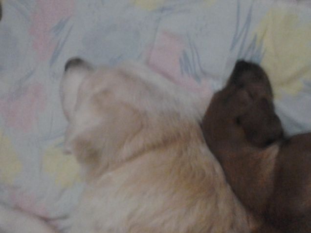 Ares con un suo amichetto =)