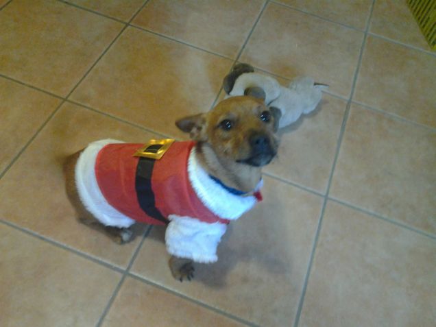 buon natale a tutti ! =)