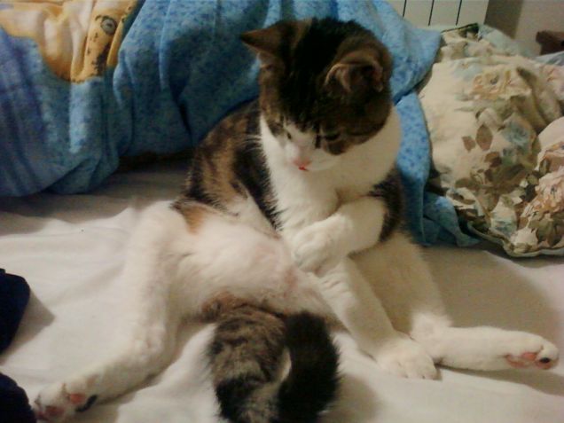 un buon natale felice =)