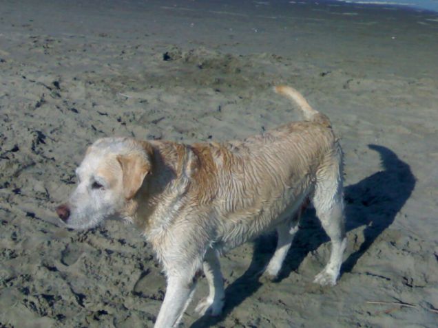 mmm ora si che si ragiona! :)