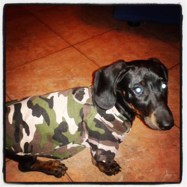 Pronti per uscire!la pioggia non ci ferma!