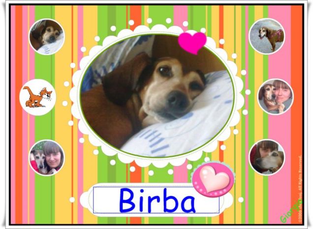 BIRBA
