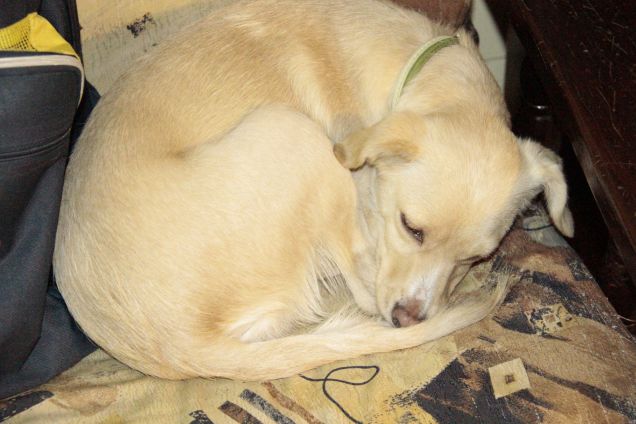 è l'ora del pisolino...