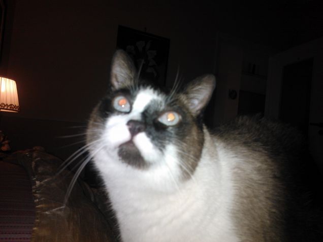 meditazione trascendentale