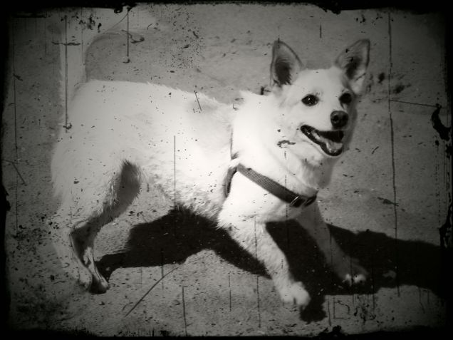 nio gioca in spiaggia