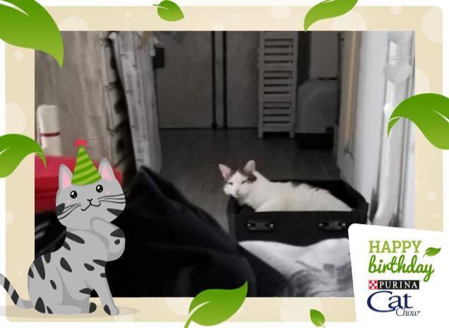 Non ti faccio partire!!