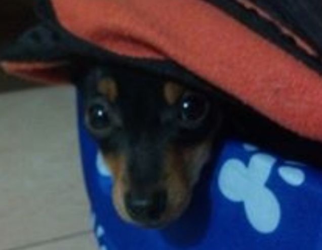 Occhioni irresistibili!!!!