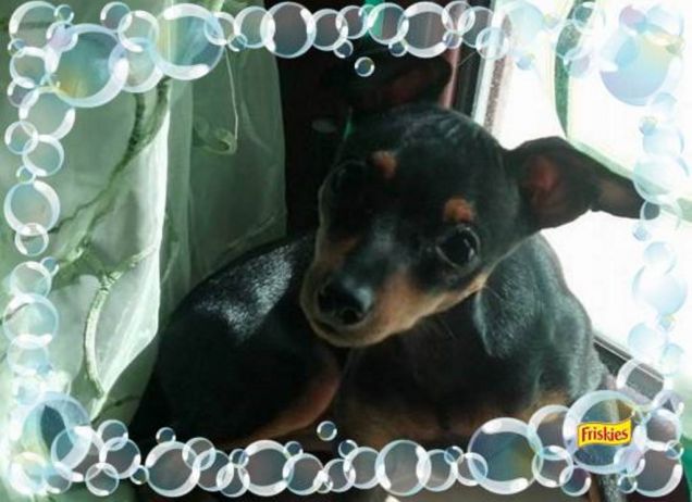 Una tenera rompi.....bolle!!!! :D