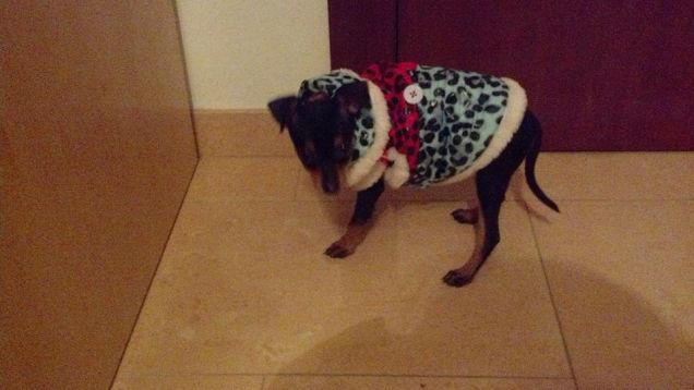 La prima passeggiata! :D