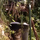 PASCAL PRIMI MESI DI VITA