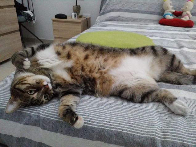 Rilassati!!! È ancora agosto!!!