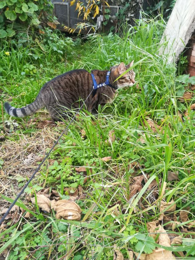 A passeggio in mezzo alla natura
