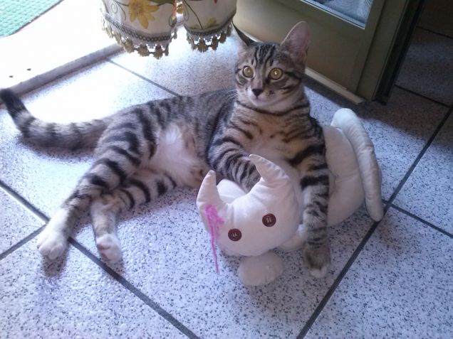 IL MIO PRIMO AMORE!!!!