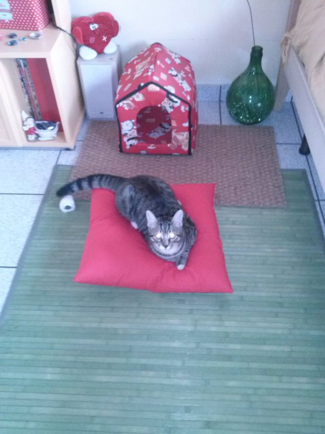 BENVENUTI A CASA MIA