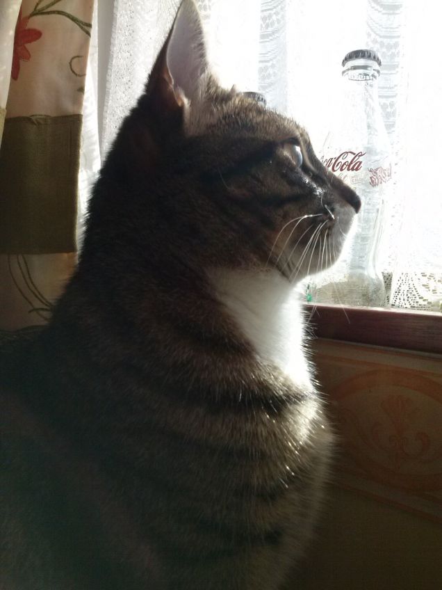 romantico e sognatore :-)