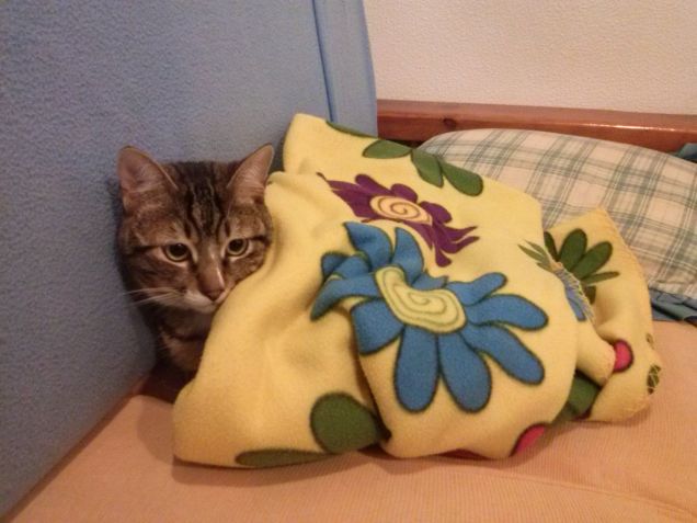 brrr c'è freddo!!!!