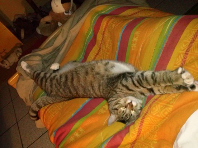 io adoro stare a letto