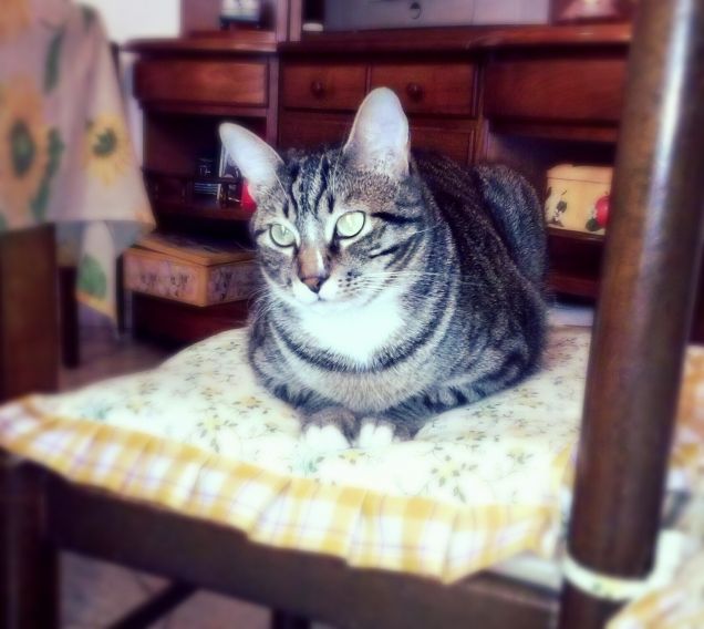 Non disturbarte! Sto covando! :-)