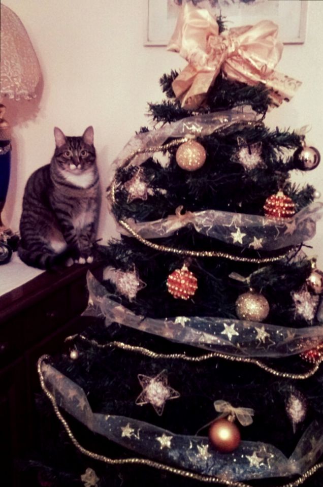 3 2 1 pronti a distruggere tutto!!!!