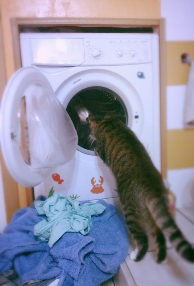 forse ho bisogno di un bagnetto!!!