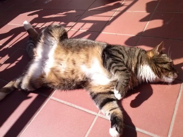 Aprile dolce dormire