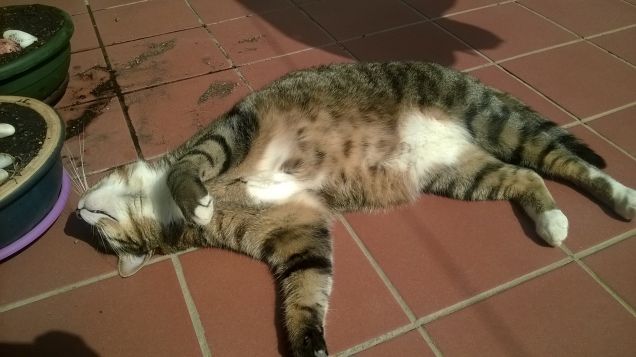 sole...sole....e ancora sole