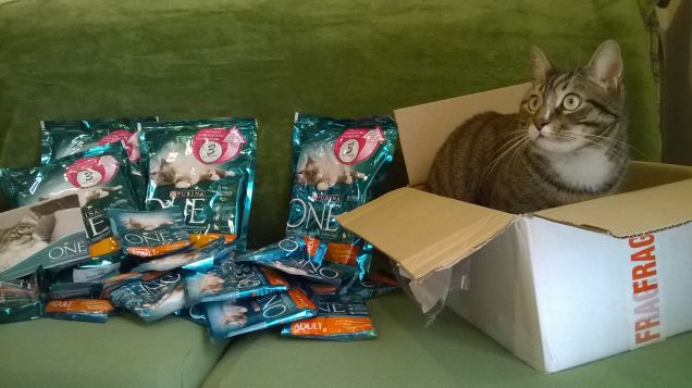 testimonial Purina One