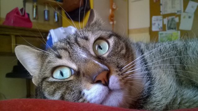 ooo noooo....é lunedi!!!!