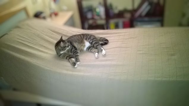 Il letto tutto per me!!!