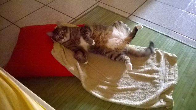 relax......c'è caldo