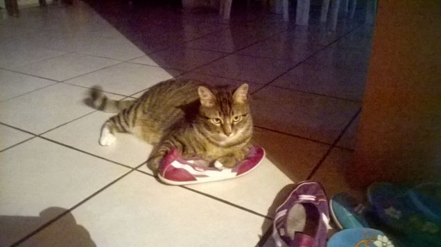 scarpe!!! che passione!