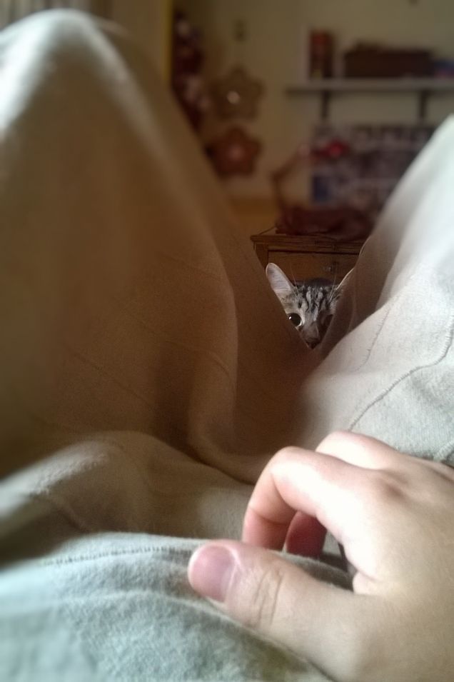 Pronti....su......viaaaaa