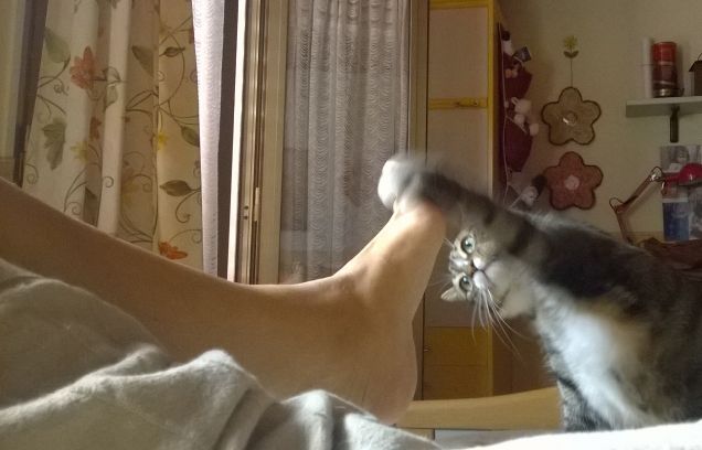 Ti faccio il solletico!