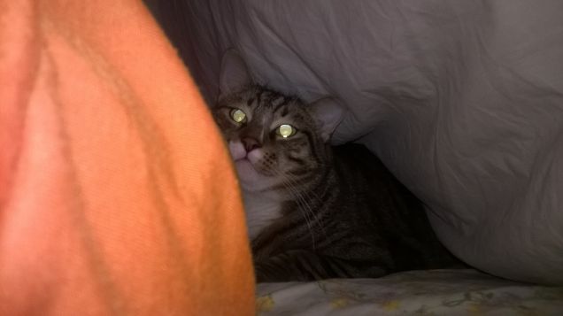 Adoro stare sotto le coperte!!!