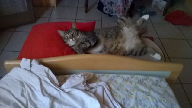 Pascal e le sue posizioni assurde